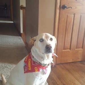 Meet your Posher, Spencer